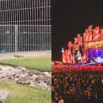 Não fica ninguém! Cães ferozes são soltos na Cidade do Rock após evacuação do público