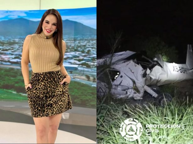 Apresentadora morre em queda de avião e ex-marido noticia acidente sem saber