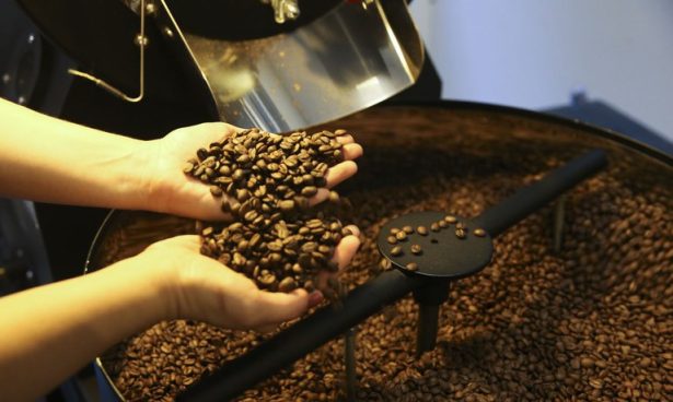 Café e cacau brasileiros podem ficar fora do tarifaço, diz secretário de Trump