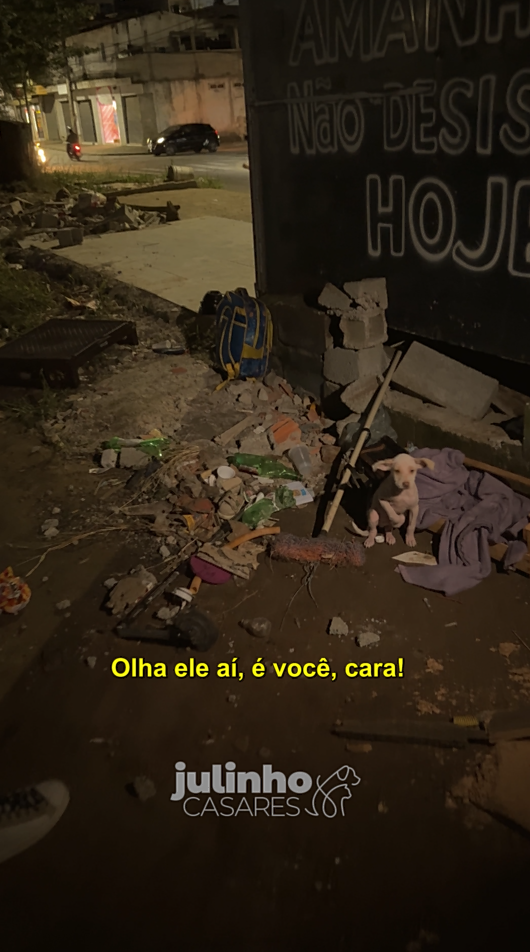 Crédito: Reprodução Instagram @julinhocasares