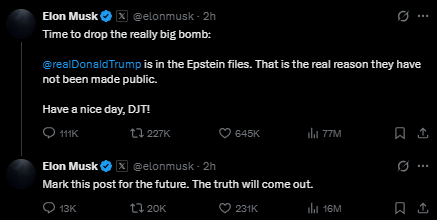 Reprodução: X/Elon Musk