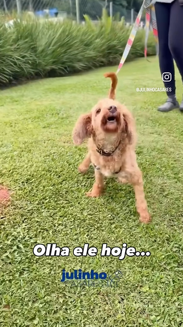 Reprodução: Instagram/@julinhocasares Reprodução: Instagram/@julinhocasares