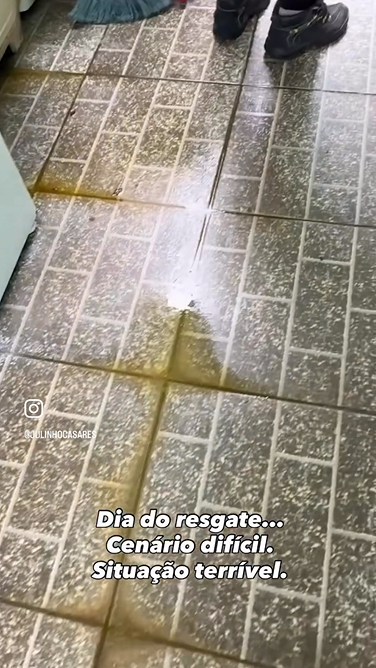 Reprodução: Instagram/@julinhocasares Reprodução: Instagram/@julinhocasares
