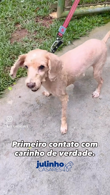 Reprodução: Instagram/@julinhocasares Reprodução: Instagram/@julinhocasares