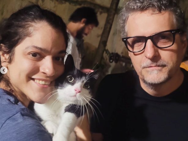 Estrela de quatro patas: gata de “O Agente Secreto” conquista prêmio em Nova York