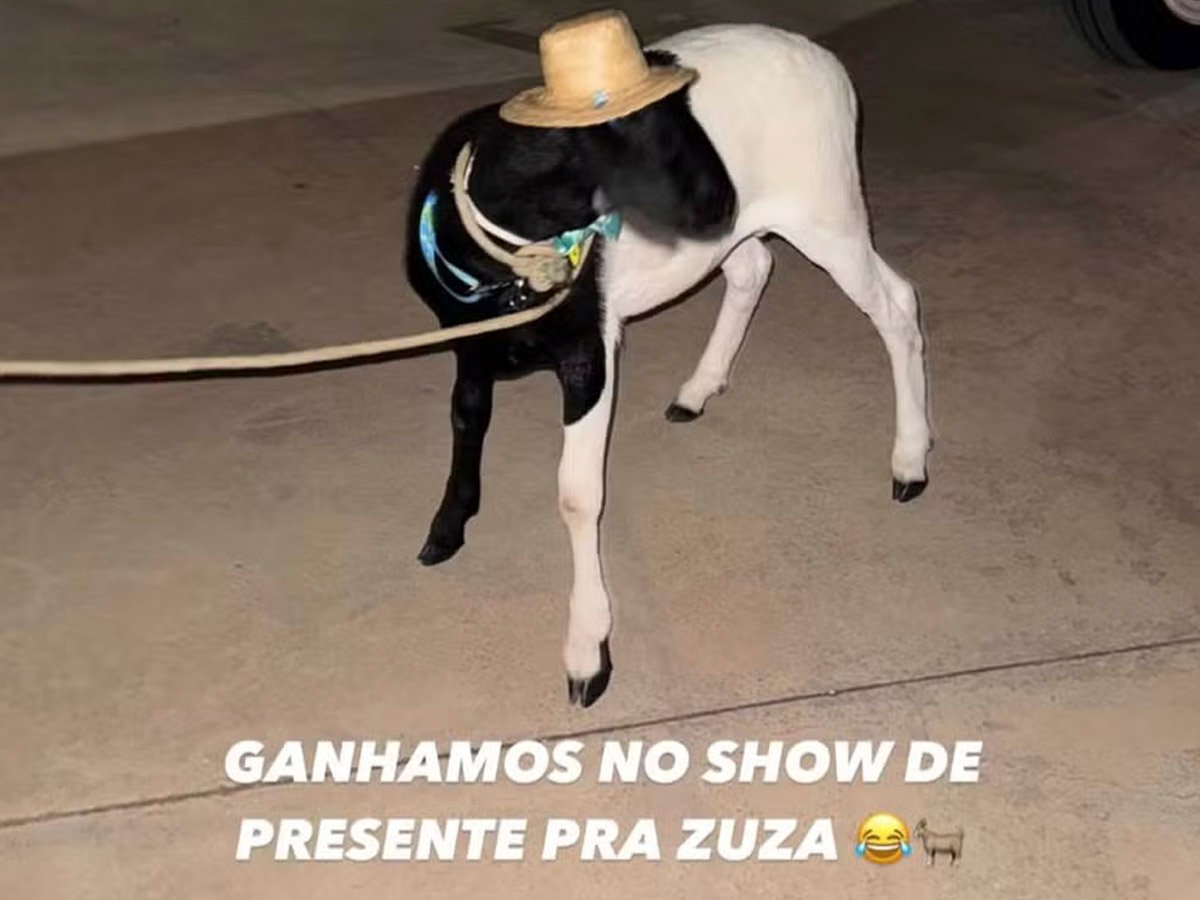 Reprodução / Instagram 