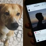 Reviravolta para um dos adolescentes investigados no caso dos cães Orelha e Caramelo; pai conta tudo