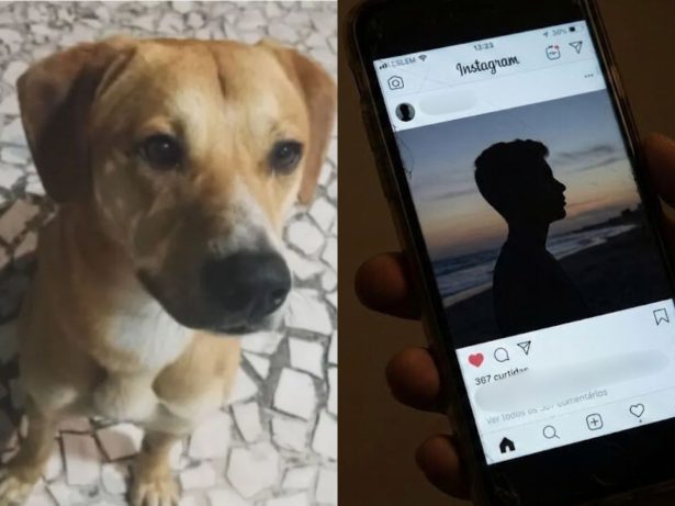 Reviravolta para um dos adolescentes investigados no caso dos cães Orelha e Caramelo; pai conta tudo