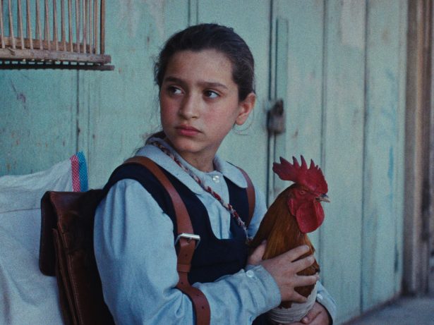 Filme iraquiano vence a 49ª Mostra de SP e leva o troféu principal; veja a lista