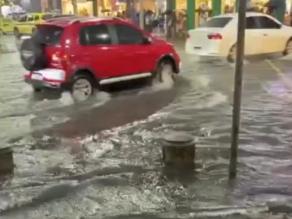 Reprodução / X