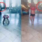 Britney Spears acusa funcionário de espioná-la: “Não fazia ideia”