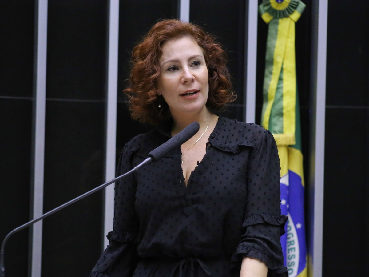 Reprodução/Câmara dos Deputados