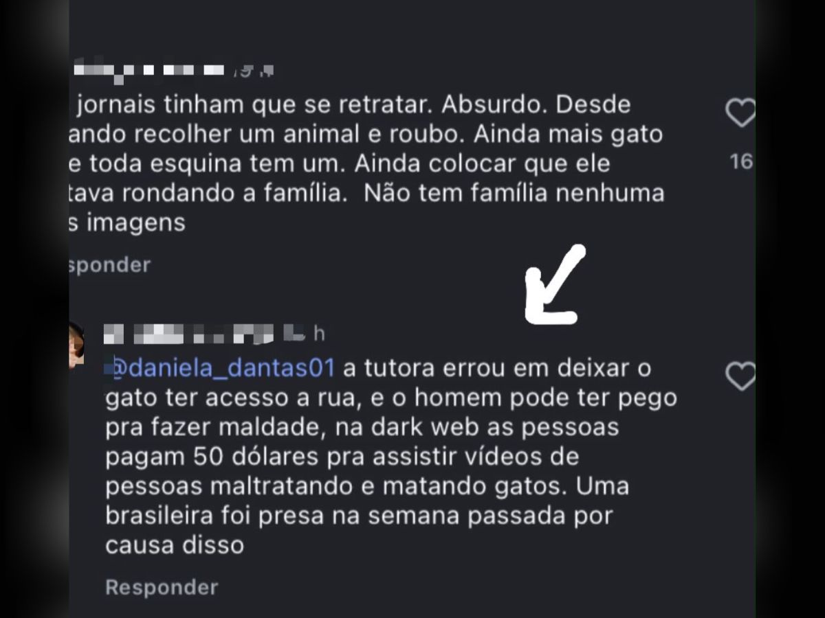 Comentarios sobre o caso