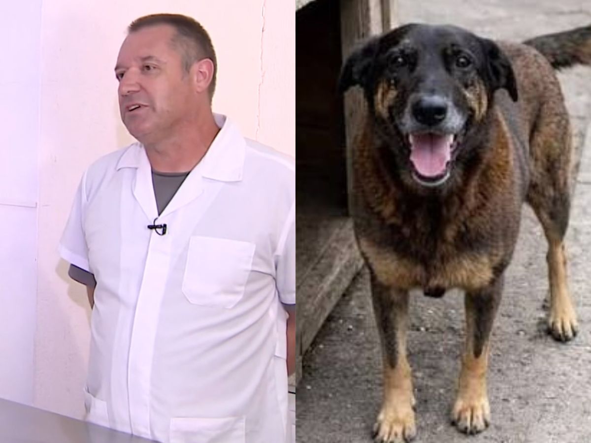 Reprodução / Globo Reprodução / Globo