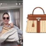 A nova Birkin de Virginia: luxo, exclusividade e o alto custo da icônica bolsa