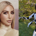 Kim Kardashian leva para casa robô de R$ 100 mil e se diverte: “Novo amigo”