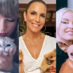 Pets das Celebridades: Saiba como os famosos compartilham o amor pelos animais