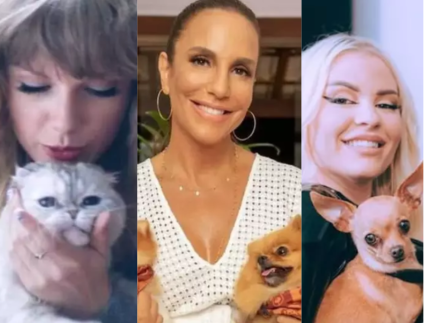 Pets das Celebridades: Saiba como os famosos compartilham o amor pelos animais