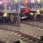 Homem é socorrido após cair no vão entre trem e plataforma na estação Brás