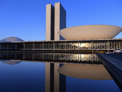 Homem tenta entrar com munição no anexo da Câmara dos Deputados e é preso