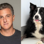 Luciano Huck lamenta morte de seu cachorro após sofrer ataque de jararaca