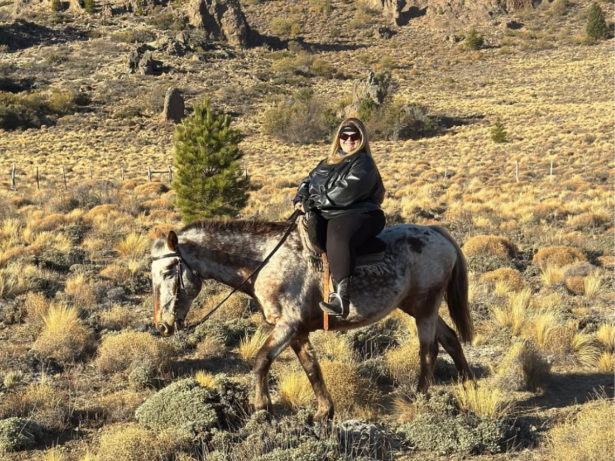 Thais Carla anda a cavalo pela 1ª vez após bariátrica: “Realizando sonhos”