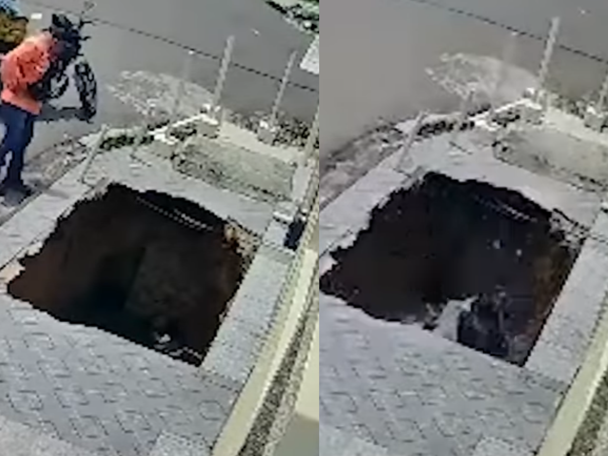 Reprodução/Internet Reprodução/Internet