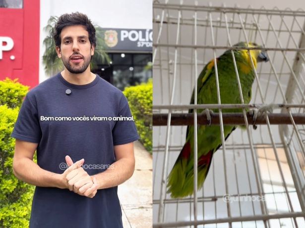 Resgate em São Paulo: Papagaio é salvo de maus-tratos e viverá em liberdade