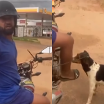 Homem é preso após ser flagrado arrastando cachorra em moto em Rondônia