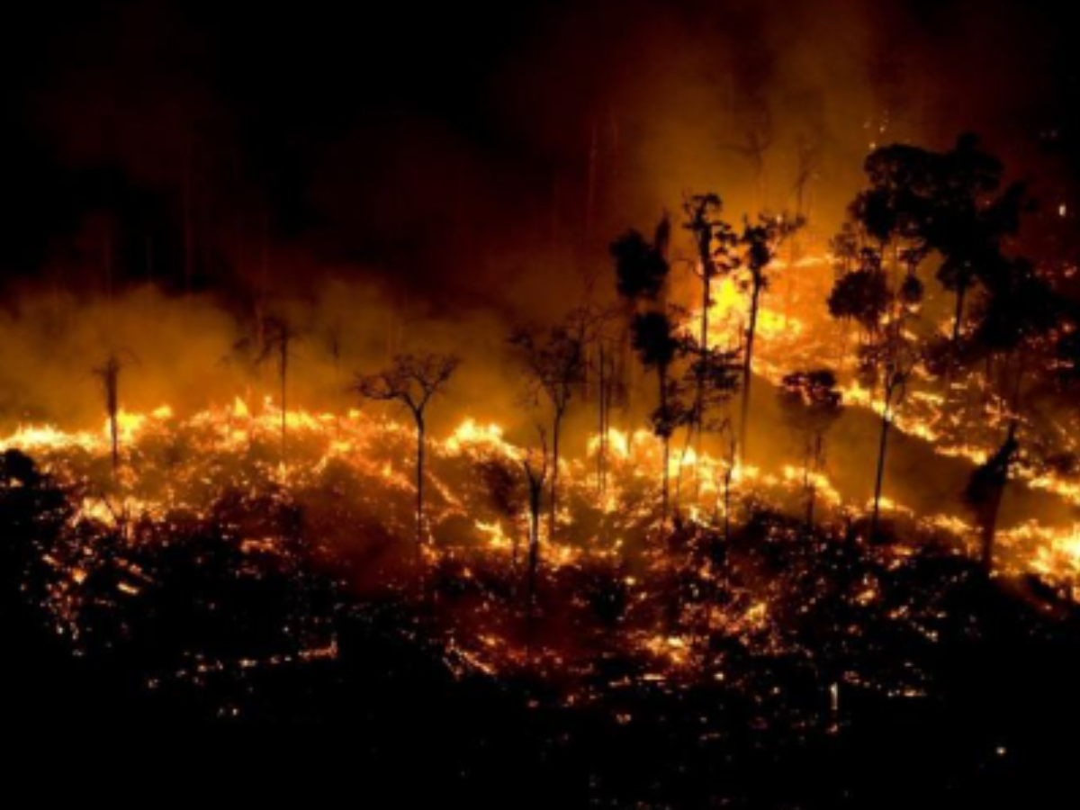 Reprodução/Daniel Beltrá/Greenpeace