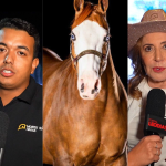 Entenda o motivo por trás de valores altos dos cavalos do Monte Sião Haras