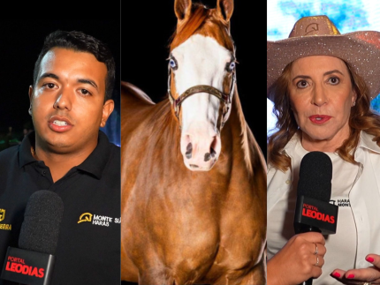 Entenda o motivo por trás de valores altos dos cavalos do Monte Sião Haras