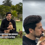 Do abandono ao recomeço: A emocionante recuperação de uma família canina resgatada
