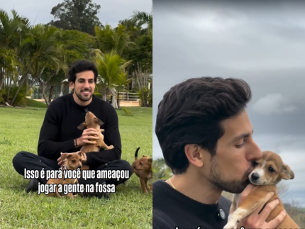 Do abandono ao recomeço: A emocionante recuperação de uma família canina resgatada