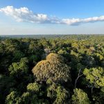 Congresso derrota governo e reabre brechas no licenciamento ambiental