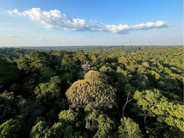 Congresso derrota governo e reabre brechas no licenciamento ambiental