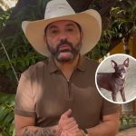 Cãozinho do cantor Edson é encontrado morto após desaparecer: “Parte da família”