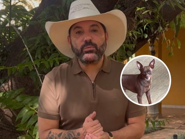 Cãozinho do cantor Edson é encontrado morto após desaparecer: “Parte da família”