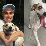 Novo integrante na família: Rafa Vitti e Tata Werneck adotam cão com deficiência