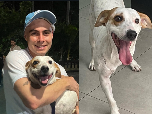 Novo integrante na família: Rafa Vitti e Tata Werneck adotam cão com deficiência