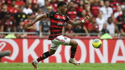 Título do Flamengo rende à Globo o recorde de audiência desde a Copa do Mundo