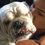 Morre Belletty, cadela de Gracyanne Barbosa, enquanto musa está confinada no BBB