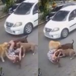 Grávida de sete meses cai tentando fugir de cães soltos: “Foi desesperador”