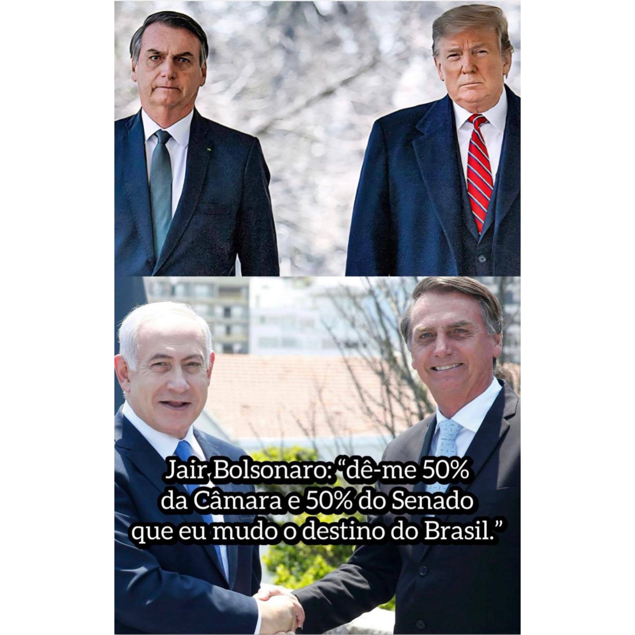 Reprodução: X