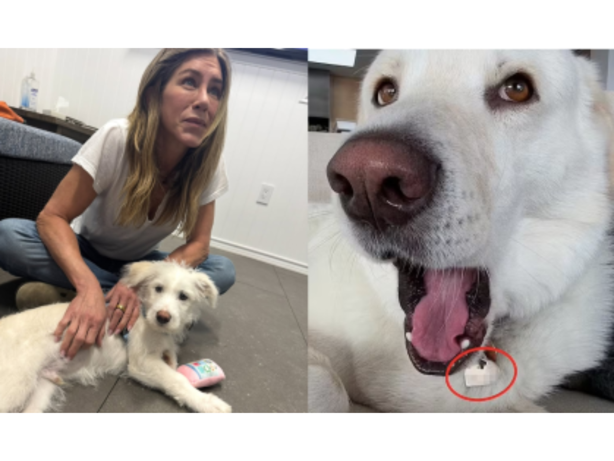 Reprodução Instagram/ montagem 