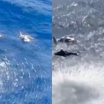 Marinha salva oito pessoas após helicóptero fazer pouso forçado no mar do Rio