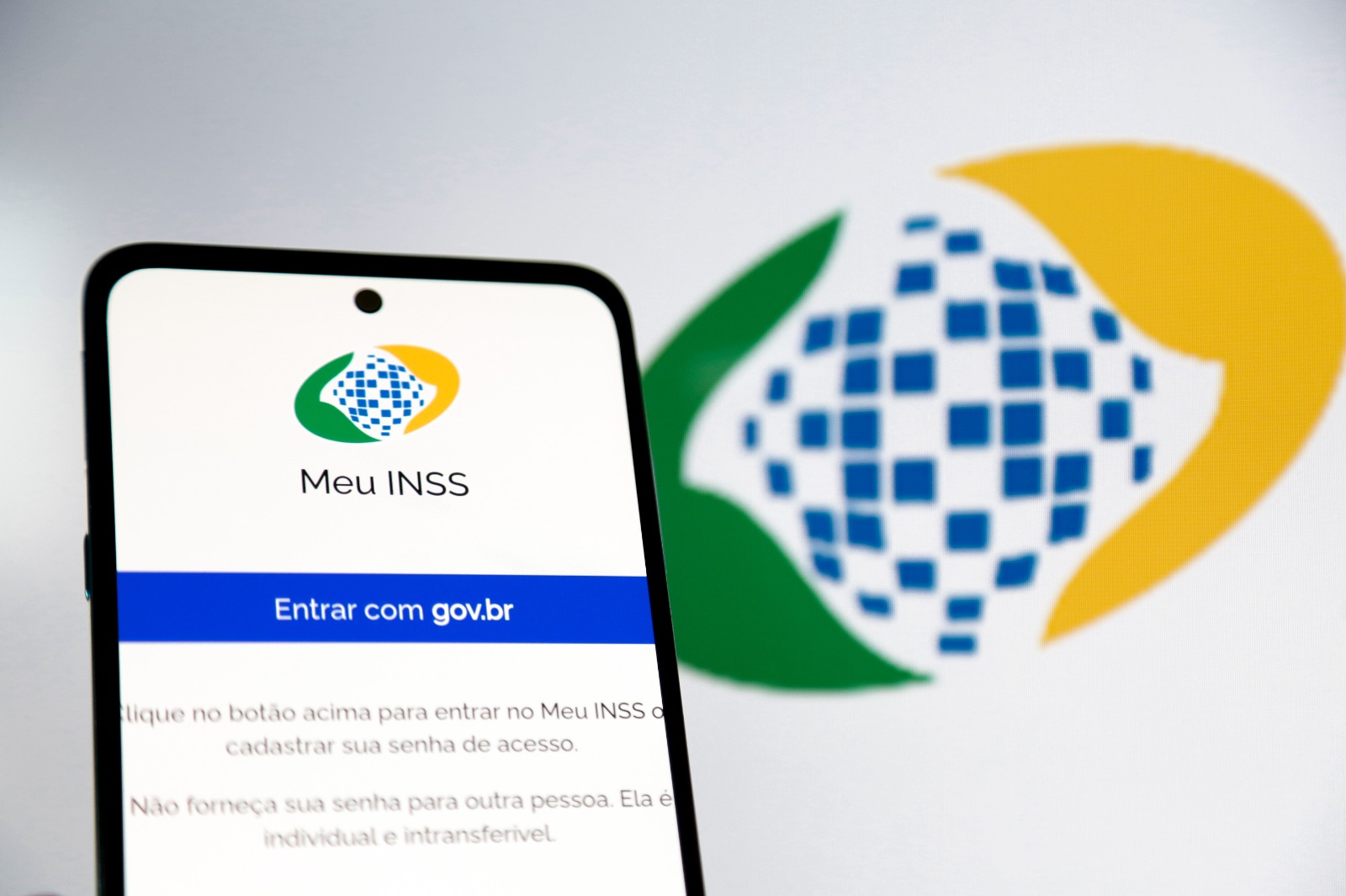 Divulgação