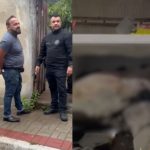 Cardiologista é preso por manter cães mortos em freezer, no RJ