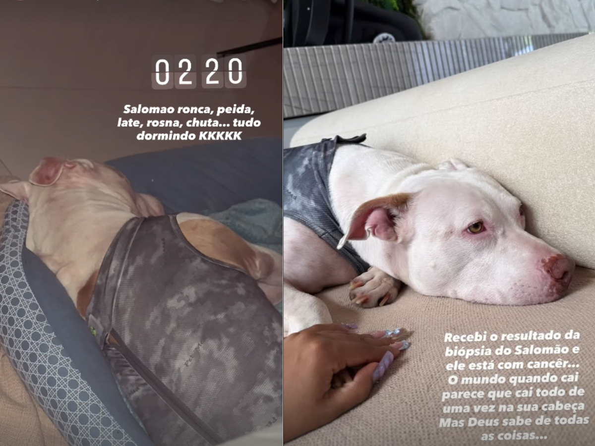 Reprodução/Instagram