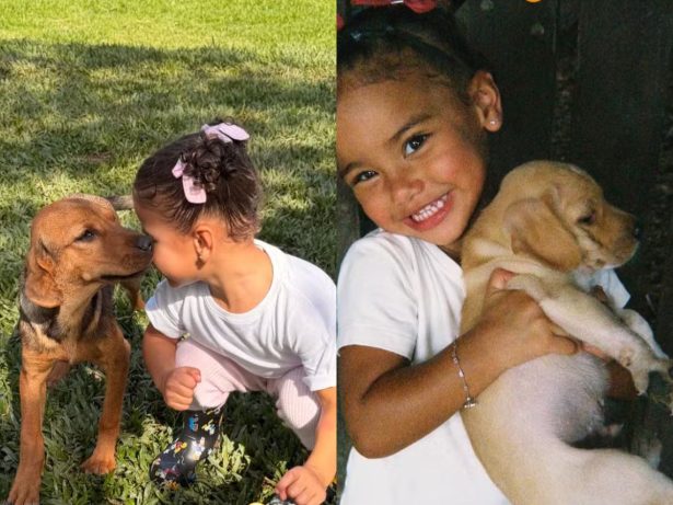 Bruna Biancardi resgata foto de Mavie com cachorro da família e compara evolução